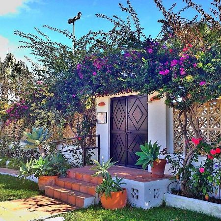 Beachfront Oasis In Costa Del Sol. Caleta De Velez Dış mekan fotoğraf