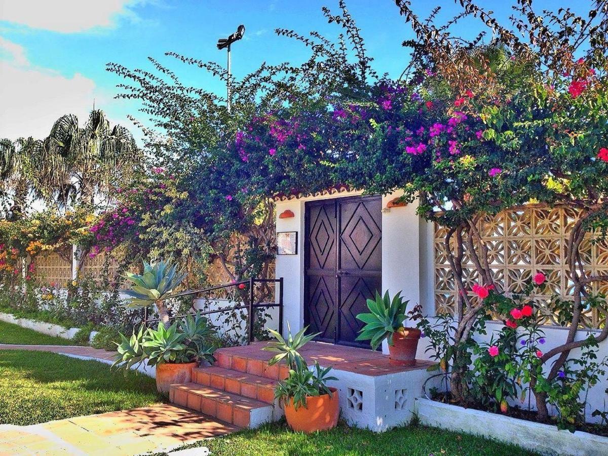 Beachfront Oasis In Costa Del Sol. Caleta De Velez Dış mekan fotoğraf